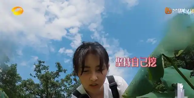 原创张子枫领口太低弯腰挖藕一瞬被截图看清后男粉太小了