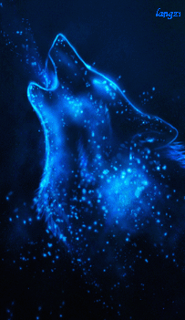 203_351gif 动态图 动图