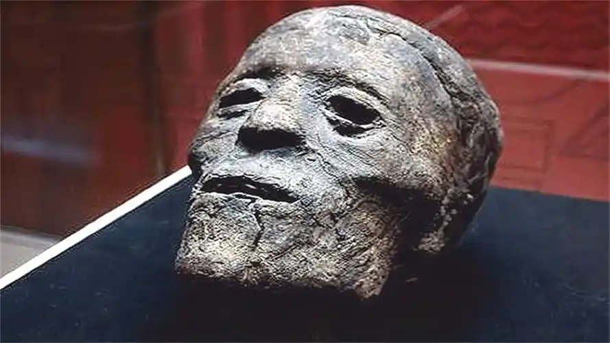 将其斩首后,永久保存展览他的头颅!-千里眼视频-搜狐视频