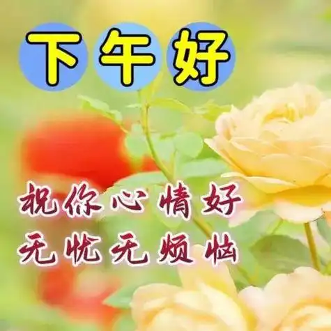 下午好图片大全下午好祝福暖心图片下午好问候