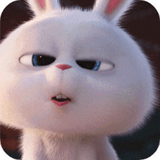 福利做全国第一批看爱宠大机密2的观众