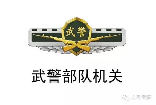 武警部队更换新式标志服饰 与旧款有何不同?