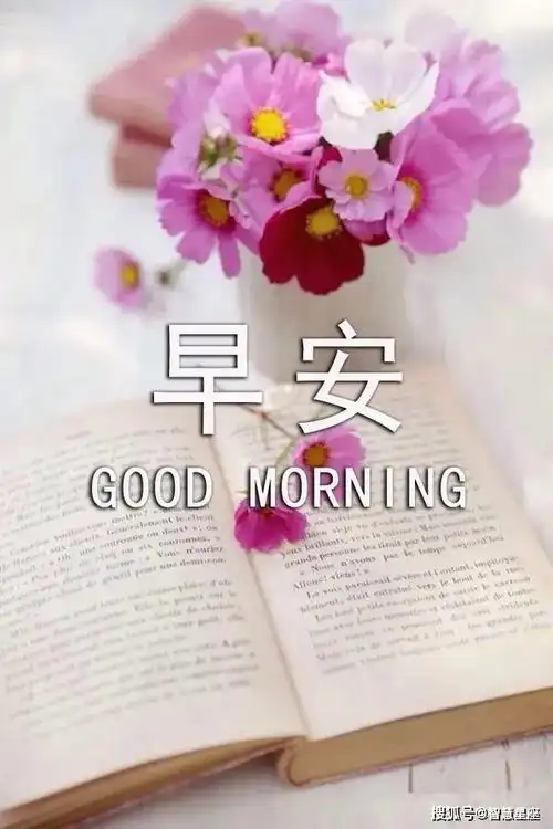 原创6月8日清晨早上好问候大家的祝福经典语句,最美的早上好动态图片
