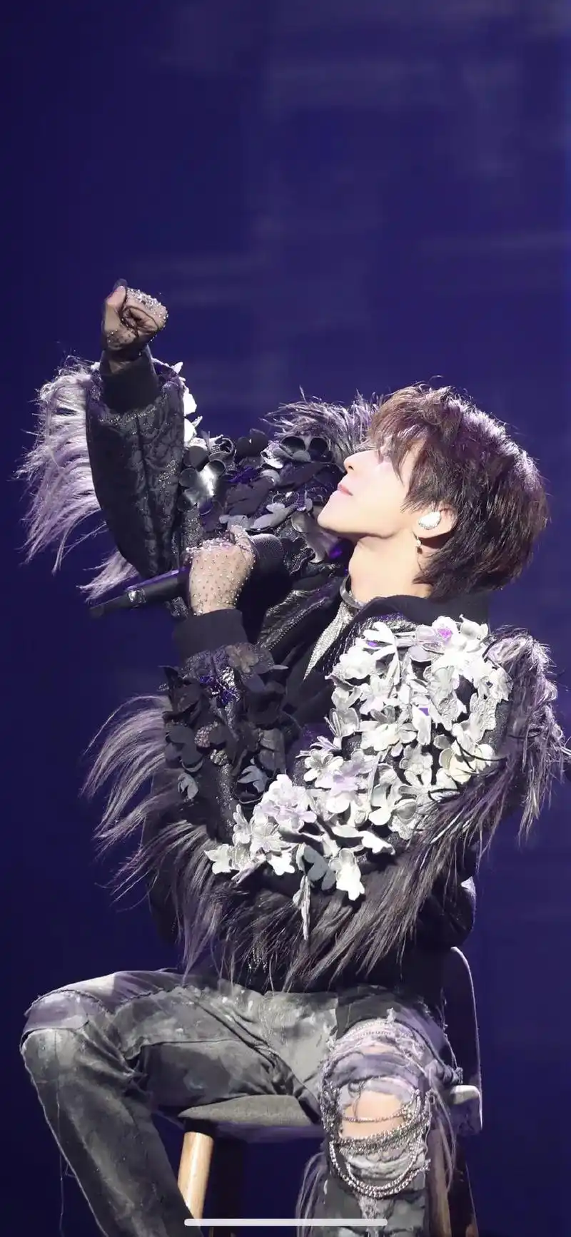 "故事的开始是一个叼着蓝玫瑰的大狮子和一只金色的小猫 - 抖音