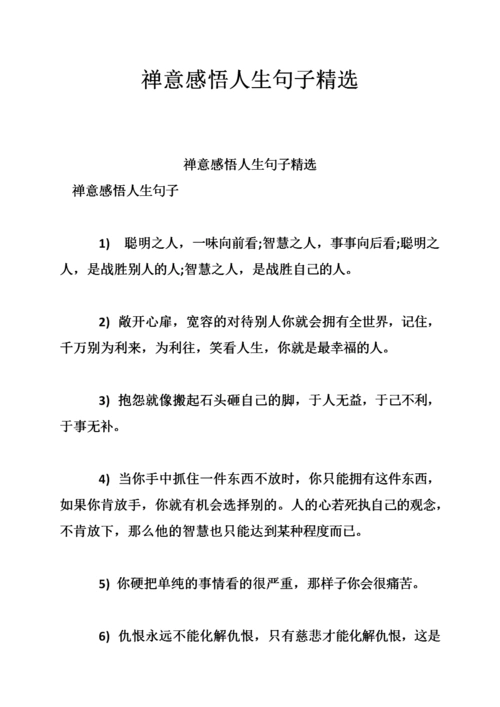 禅意感悟人生句子精选.doc