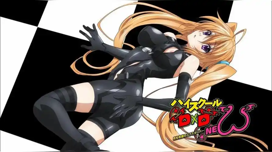 紫藤伊莉娜(《恶魔高校d×d 》的角色)_尚可名片