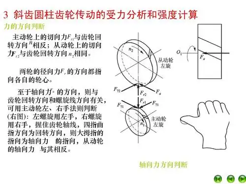 齿轮传动的受力分析ppt