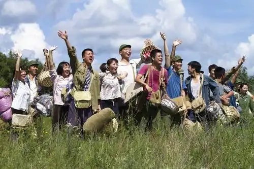 七十年代文革时期一个特殊群体"知识青年"为话题,描述知青们"上山下乡