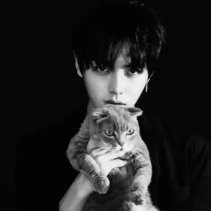 头像壁纸:咒术回战 ,送你一朵小红花,肖宇梁