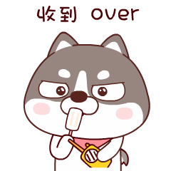 【招募】0元学安全!第五届安全夏令营火热招募中