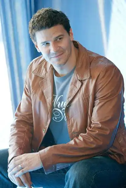 大卫·伯伦纳兹 david boreanaz的图片