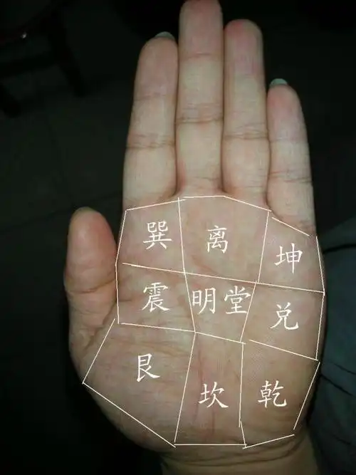 手相学将人的手掌分为八个宫位,与八卦相对应,每一卦代表人的一个脏