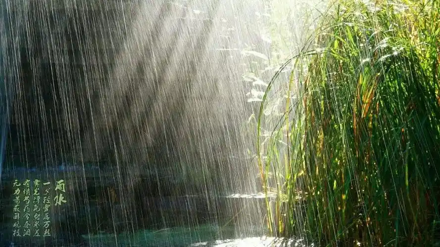 雨水 阳光的微笑〔原创