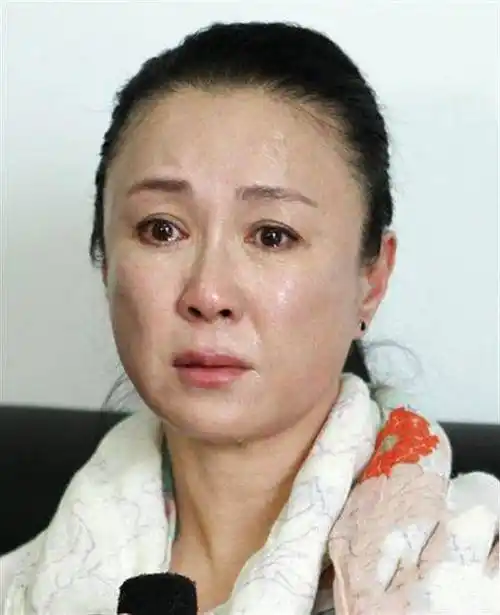 傅艺伟吸毒获释后痛哭致歉 傅艺伟个人资料背景老公照片