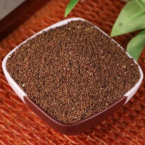 伟博菟丝子中药材菟丝子菟丝子粉内蒙古菟丝子茶兔丝子250g500g250克