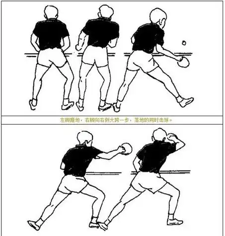 乒乓球的基本步法
