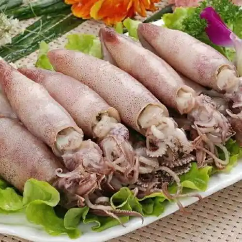 籽乌海兔子满籽籽乌笔管鱼乌贼熟冻籽乌墨鱼八爪鱼海鲜火锅食材