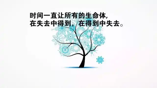 经典句子人生感悟图片人生哲理句子精辟图片