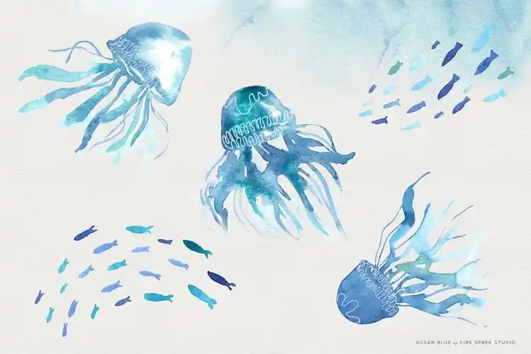 可以用于各类海洋,海底世界相关主题的banner设计,海报设计,图书,画册