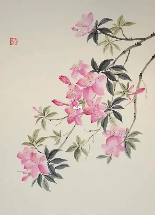 杜鹃花