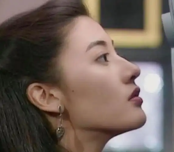 明星鼻子侧颜 鼻子长得好,颜值差不了,9位女星侧颜照,没有对比就没有
