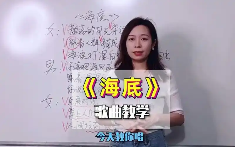 一首网络挺红的歌曲海底歌曲教学