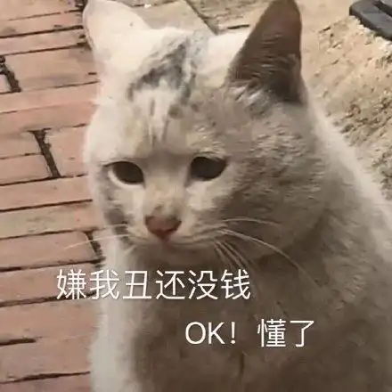 可爱萌宠表情包老实揣手手 - 可爱萌宠表情包相似表情热门表情包