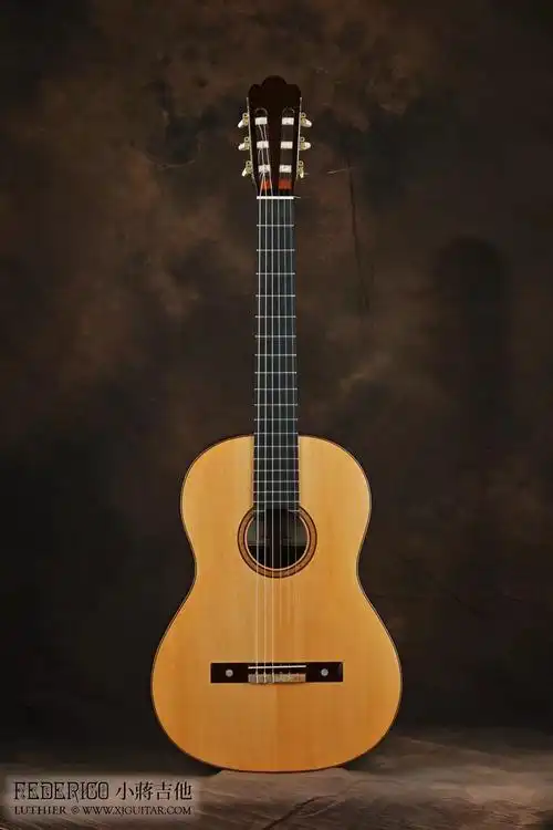 小蒋吉他 托雷士torres 古典和弗拉门戈吉他
