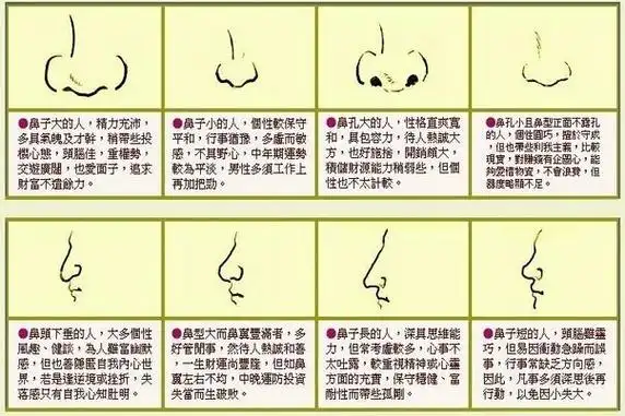 苏民峰面相:鼻子面相图解