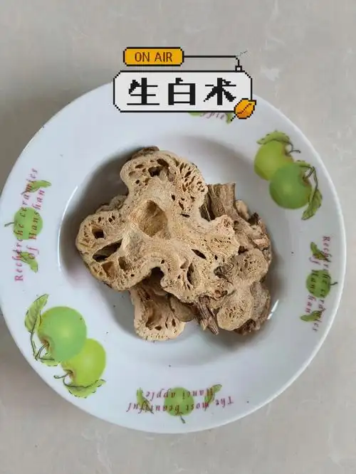 生白术与麸炒白术的功效区别