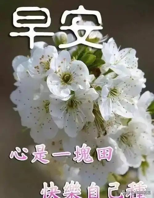 2020年最新早安问候语简单早安句子说说心情