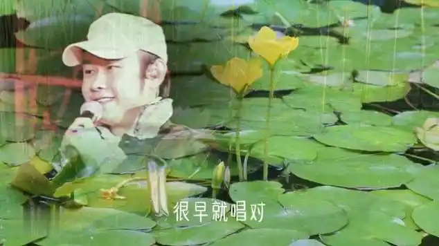 刀郎 谭咏麟 演唱《水中花》粤语版,简直是太好听了!