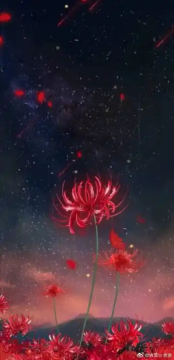 愿来世做一朵彼岸花 生于彼岸 死于忘川  不入人世 不扰凡尘