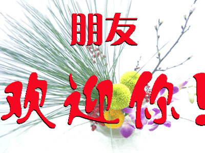 400_300gif 动态图 动图