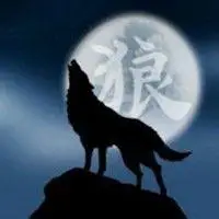 动物狼头像图片大全_微信头像图片大全