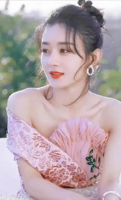 肖战赵丽颖正剧苗子