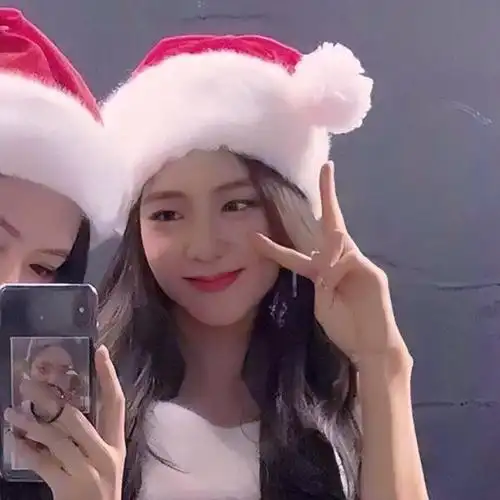 可以分享一些blackpink的闺蜜头像吗2人或4人