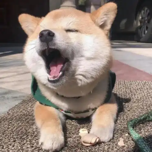 120张可以逗女朋友开心的表情包 - 知乎