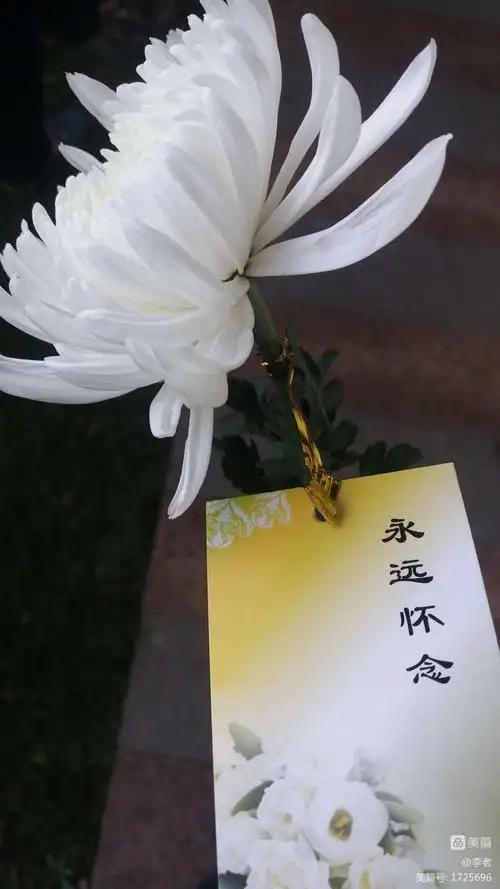 一路走好的哀悼句子,愿逝者一路走好的句子-图片大观-奇异网