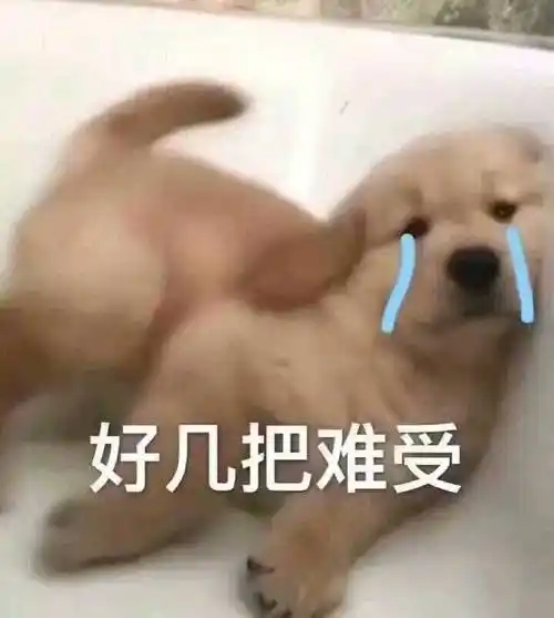 我看你是欠日表情包 - 文字表情,简单粗暴 - 表情图