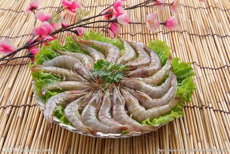 鲜虾图片