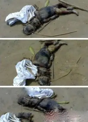 真实存在有水鬼 多地水库抓到水鬼