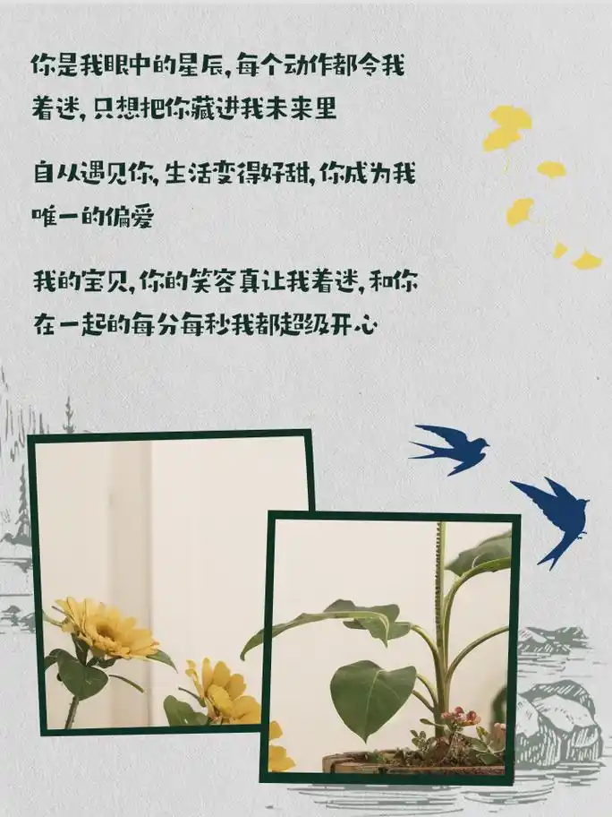 官宣文案,高情商晒女朋友的短句 她是我心中的宝藏,她的每一个笑容都