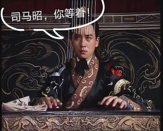 与其苟且偷生,毋宁高贵赴死_司马家_曹魏_皇帝