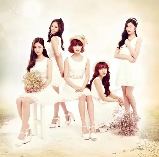 tint词条图册_百度百科