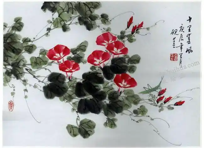 牵牛花的写意画法步骤图示