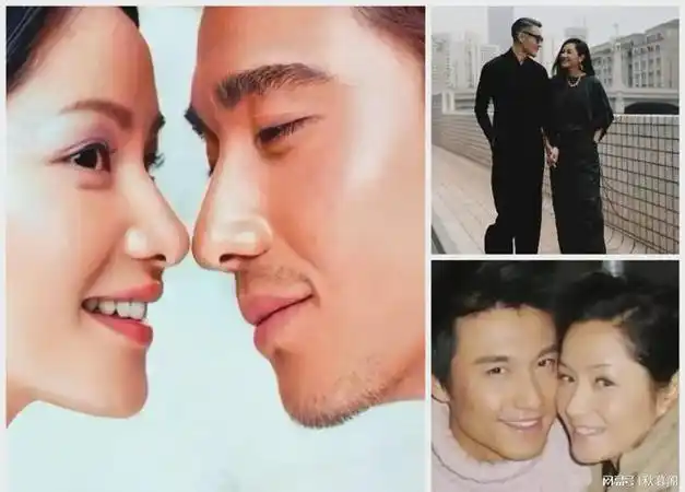 意难平胡兵与瞿颖灵魂伴侣的超越之爱不入围城的理想选择