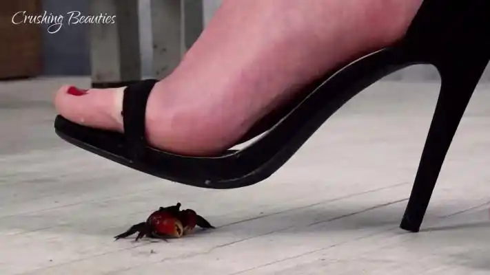 美女性感高跟凉鞋踩扁小螃蟹