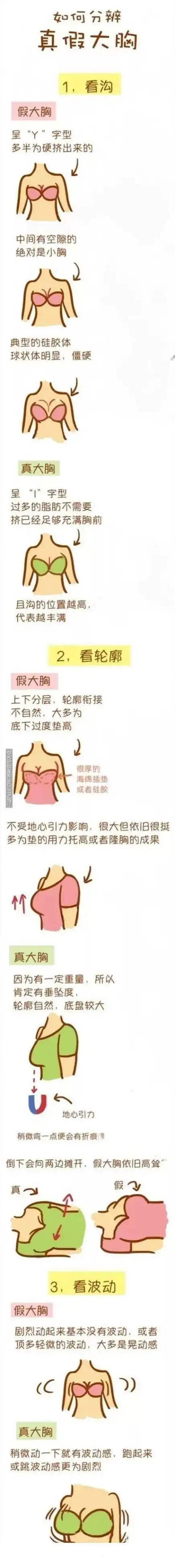 据说大xiong女孩很烦恼老司机三招教你辨别真假胸段子手秒懂