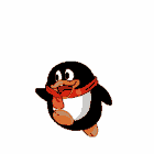 qq宠物要停止运营了,再不登录上去多看它一眼就没了.